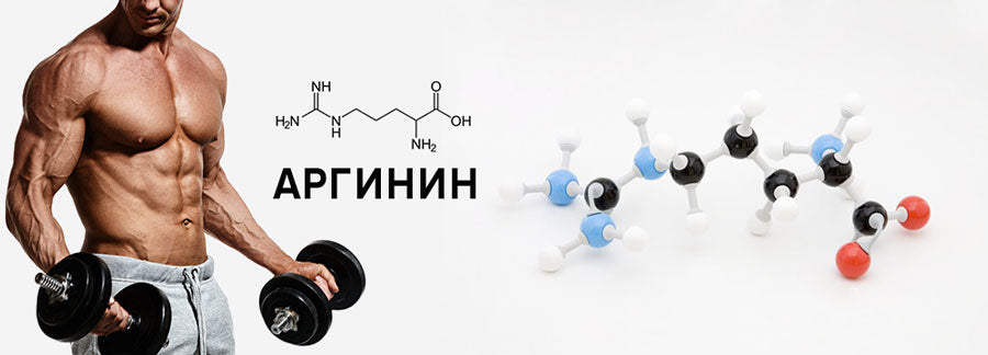 Аргинин - самая важная аминокислота